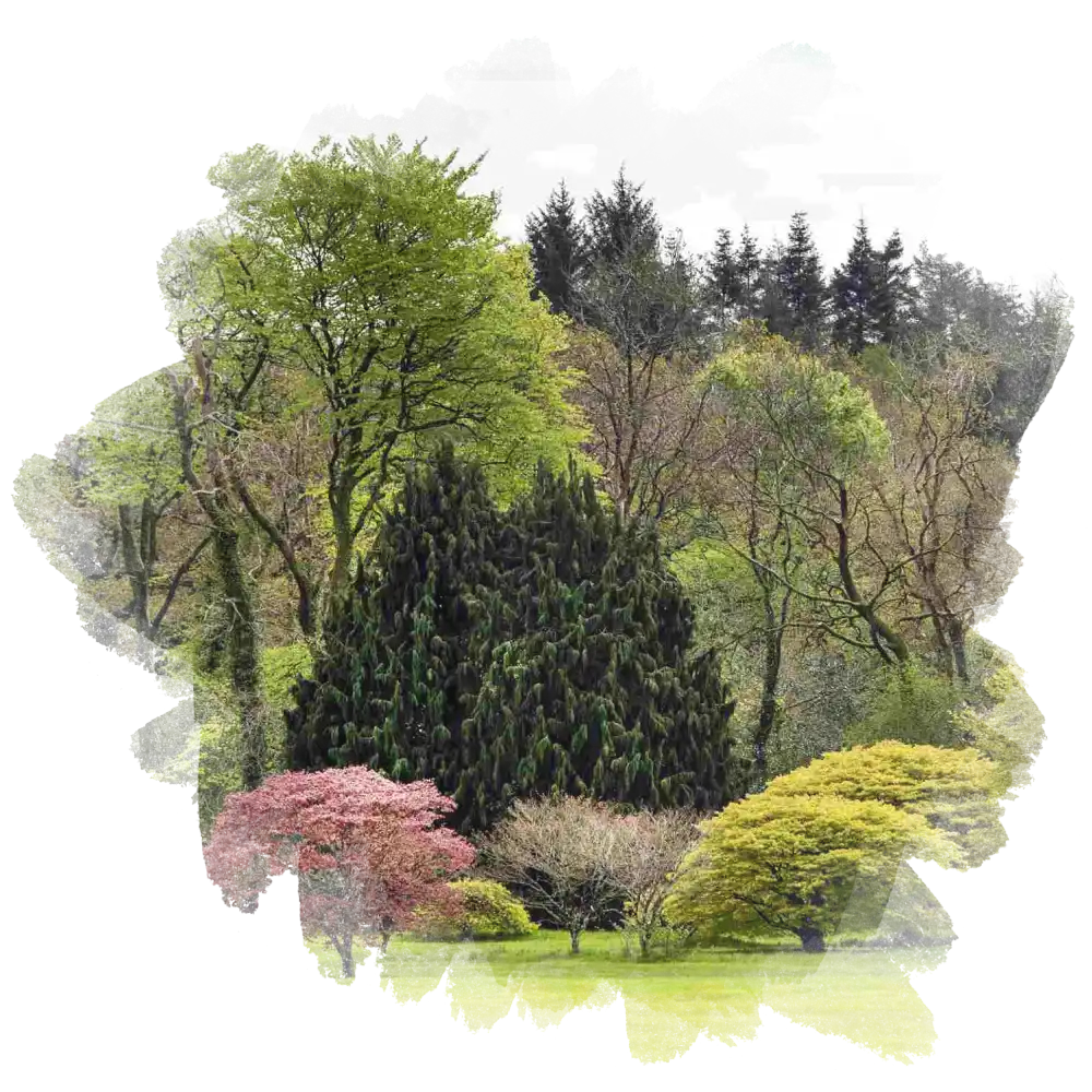 Treescape at JFK Arboretum